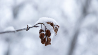 Ученые пообещали жителям Ямала спокойный март без мощных магнитных бурь