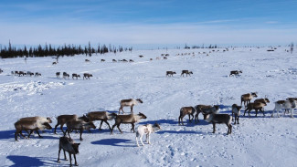 Времена – март: и в нем опять два праздника, и оба про весну