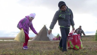 На Ямале продолжается ежегодная кампания по организации сбора детей кочевников