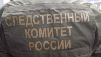 Следком завершил расследование дела о гибели женщины в Панаевске