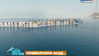 Во Владивостоке сап-серферы угнали льдину и устроили флешмоб