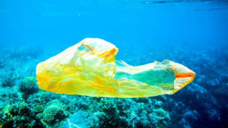 Экологи России и Норвегии обсудят проблему морского мусора и микропластика