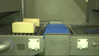«Российский», «Гауда» и «Масдам»: на Сахалине развивают промышленное производство сыров