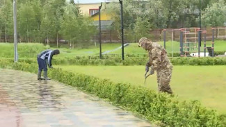 Студенты из Екатеринбурга помогают с озеленением в Тарко-Сале