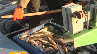 Проблемы рыбопромыслового флота обсудили на заседании общественного совета при Департаменте АПК