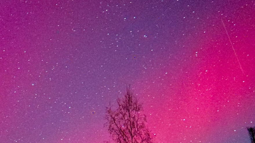 Первый звездопад лета: когда будет пик метеорного потока Боотиды в 2025 году