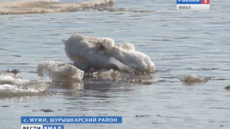 Переправа Салехард-Лабытнанги: тарифы на вертолетную перевозку 2015