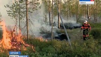 Спасатели 3 регионов России приехали на Ямал помогать тушить природные пожары