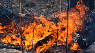 На Ямале действуют 6 природных пожаров