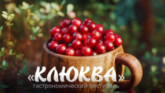 В Ноябрьске пройдет гастрономический фестиваль «Клюква - 2025»