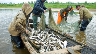 День рыбака. Дмитрий Артюхов поздравил работников рыбохозяйственного комплекса с праздником