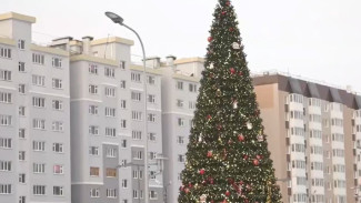 Как планируют провести новогодние каникулы жители Ноябрьска