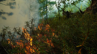На территории Ямала действует семь природных пожаров 