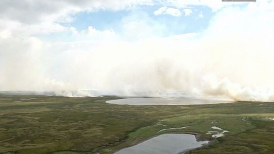 На Ямале сейчас действует 57 пожаров, 23 из них вспыхнули за последние сутки