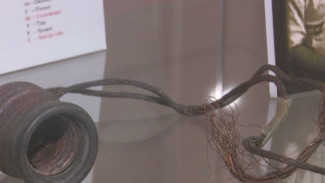 На заре электричества: в главном музее Ямала открылась выставка о первых лампочках Обдорска
