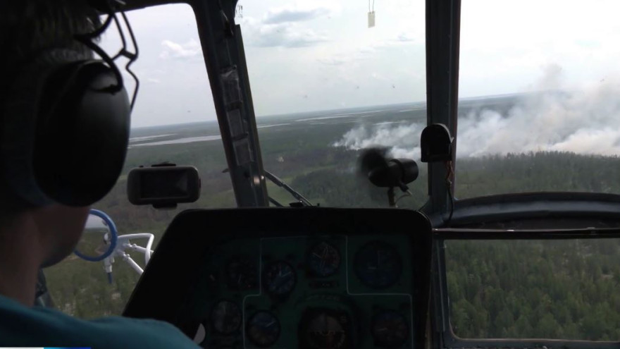 Огонь пошёл на спад: на Ямале потушили 13 лесных пожаров за сутки