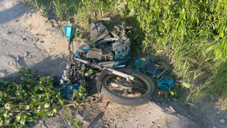 Мотоциклист влетел в дерево: семь ДТП произошло за сутки на Ямале