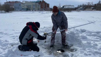 Насколько безопасны воды и берега? Ученые изучают озеро Лебяжье в Салехарде