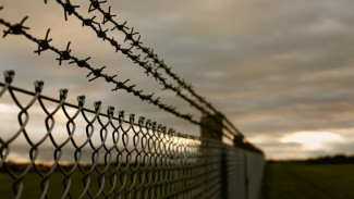 Жительница Муравленко отправится в колонию за покупку наркотиков