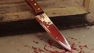 Пьяная жительница Ямальского района ударила мужа ножом
