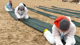 650 тонн грязного песка и мазута вывезли волонтеры с побережья Анапы