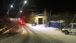 В Салехарде иномарка «вписалась» в гараж: есть пострадавшие