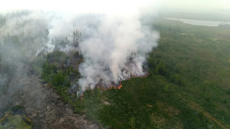 На Ямале горит более 300 гектаров леса