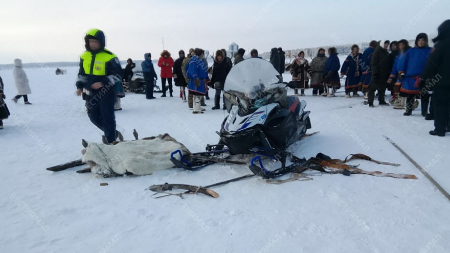 Снегоход протаранил толпу и упряжку на Дне оленевода в Надыме