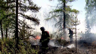 Число природных пожаров на Ямале выросло до 113 очагов