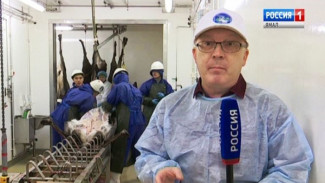 На Ямале планируется заготовить около трёх тысяч тонн деликатесного мяса
