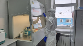 На Ямале можно будет сделать тест на коронавирус без направления врача
