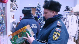 МЧС проверит продавцов фейерверков на Ямале