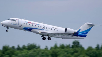 Самолет авиакомпании «Ямал» совершил экстренную посадку в Домодедово