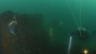 Подводное расследование: в акватории Владивостока дайверы обнаружили затонувшее судно