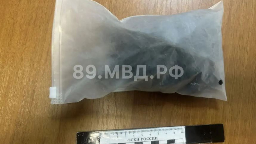 В Новом Уренгое полицейские изъяли у местной жительницы 50 свертков мефедрона