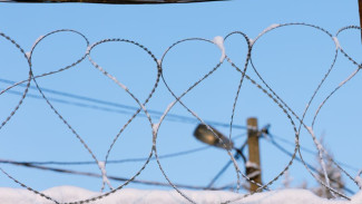 В Тазовском районе мужчина получил 8 лет колонии за убийство знакомого