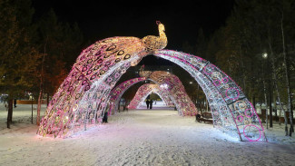 Светящиеся жар-птицы украсили городской парк Надыма