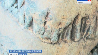 Оскал древности. Путешественники обнаружили на Полярном Урале огромный «артефакт с зубами»