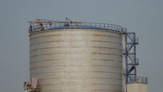 «Транснефть» перенаправит экспорт из портов Приморск и Усть-Луга 