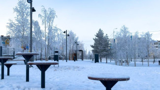 В Надыме открыли круглогодичную площадку для выгула и дрессировки животных