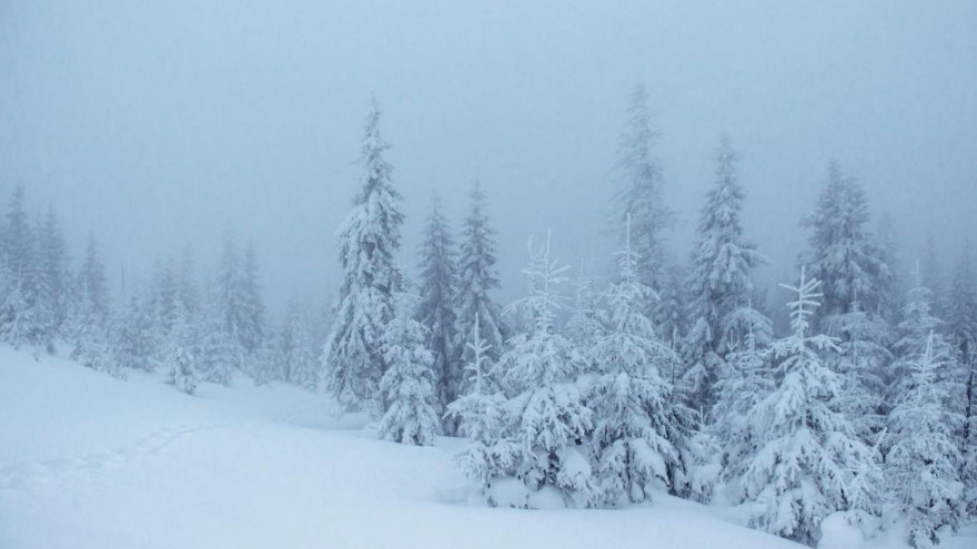 Погода в Салехарде и округе: лютый мороз, метель и туман пообещали синоптики