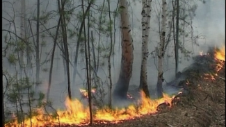 С 1 мая на Ямале объявлен пожароопасный период