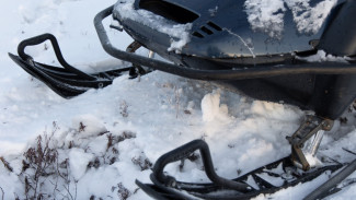 Житель Ямальского района оштрафован на 100 тысяч рублей за кражу снегохода