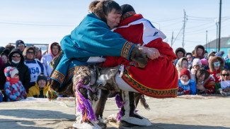 Богатыри тундры вновь показали силу, ловкость и смелость: по Тазовскому району прокатился День оленевода