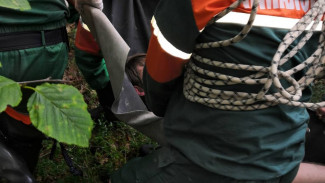 Ямалспасовцы нашли и доставили в больницу мужчину, пропавшего в лесу (ФОТО И ВИДЕО)
