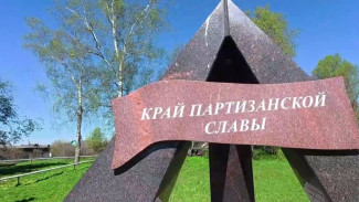 Добровольцы памяти погрузились в страшное прошлое
