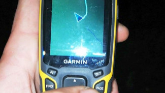 Техника, которая спасает жизни: найти заплутавшего в лесу человека можно будет по сигналу его мобильника