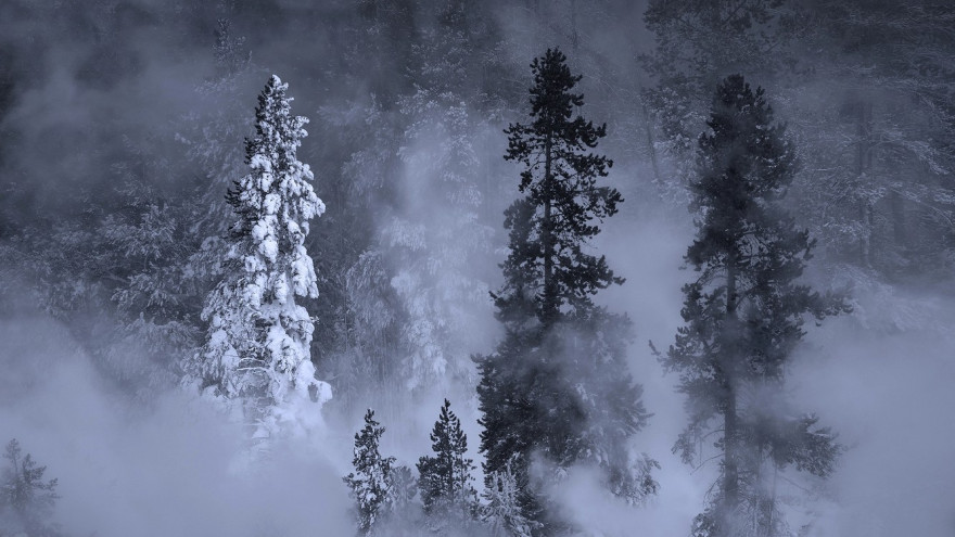 Погода в Салехарде: Ямал скуют морозы и окутает туман