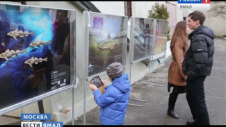 В Музее Москвы открылась мультимедийная экспозиция, посвященная Арктике