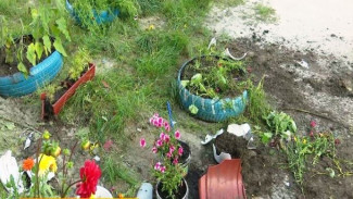 «Цветочный рай» разрушен: автолюбители из Тарко-Сале протаранили горшки с растениями